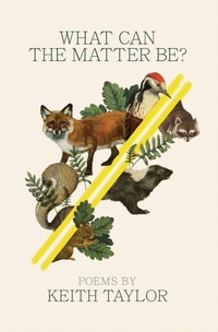 Enlarge image Cover: What Can the Matter Be? - Wayne State University Press
