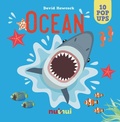 Cover: Ocean - nuinui