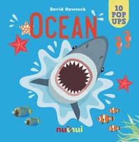 Enlarge image Cover: Ocean - nuinui