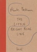 Cover: The Little Bright Blue Line - Steidl
