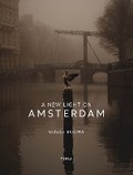 Cover: A New Light on Amsterdam - Terra Uitgeverij