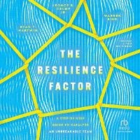Enlarge image Cover: The Resilience Factor - Christianaudio