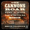 Cover: The Cannons Roar - Tantor Audio