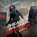 Cover: Heaven Will Fall - Tantor Audio