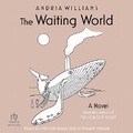 Cover: The Waiting World - Tantor Audio