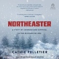 Cover: Northeaster - Tantor Audio