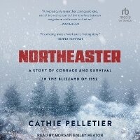 Abbildung von: Northeaster - Tantor Audio