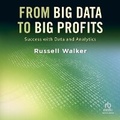 Cover: From Big Data to Big Profits - Ascent Audio