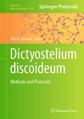 Cover: Dictyostelium discoideum - Humana