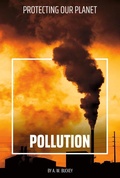 Cover: Pollution - Essential Library