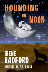 Enlarge image Cover: Hounding the Moon - Bookview Cafe