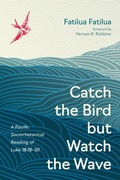 Cover: Catch the Bird But Watch the Wave - Pickwick Publications