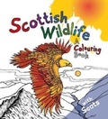 Cover: Scottish Wildlife - Lexus Ltd