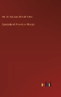 Cover: Synopsis of American Wasps - Outlook Verlag
