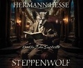 Cover: Steppenwolf - Cherry Hill Publishing