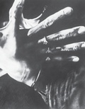Cover: James Drake: Tongue-Cut Sparrows - Radius Books