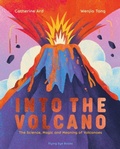 Cover: Into the Volcano - Flying Eye Books