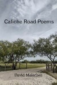 Enlarge image Cover: Caliche Road Poems - Lamar University Press
