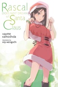 Cover: Rascal Does Not Dream of Santa Claus (light novel) - Yen Press