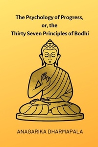 Abbildung von: The Psychology of Progress, or, the Thirty Seven Principles of Bodhi - Blurb