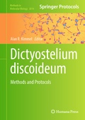 Bild: Dictyostelium discoideum - Humana