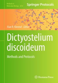 Bild: Dictyostelium discoideum - Humana