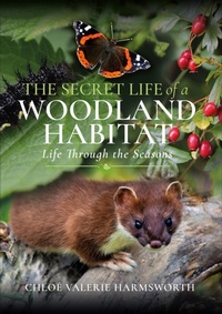 Abbildung von: The Secret Life of a Woodland Habitat - White Owl