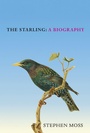 Cover: The Starling - Square Peg