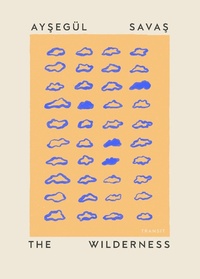 Enlarge image Cover: The Wilderness - Transit Books