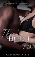 Cover: The Perfect Fix (Unexpected Changes, #3) - Cameron Allie