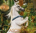 Cover: Fascination 2025 - Edition Boiselle