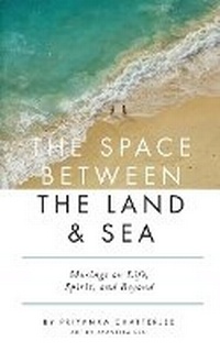 Enlarge image Cover: The Space Between The Land and Sea - Priyanka Chatterjee