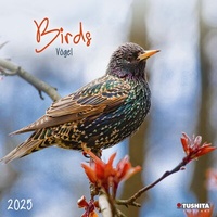 Enlarge image Cover: Birds 2025 - Tushita PaperArt GmbH