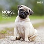 Cover: Möpse 2025 - Tushita PaperArt GmbH