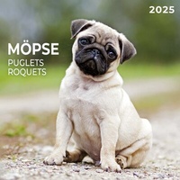 Enlarge image Cover: Möpse 2025 - Tushita PaperArt GmbH