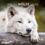 Cover: Wolves/Wölfe 2025 - Tushita PaperArt GmbH