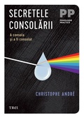 Cover: Secretele consolarii - Publishdrive
