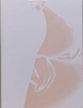 Cover: Cacher - NB