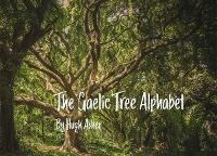 Abbildung von: The Gaelic Tree Alphabet - Silvotherapy Publishing