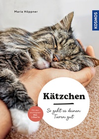 Abbildung von: Kätzchen - Kosmos