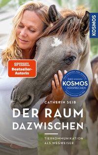 Abbildung von: Der Raum dazwischen - Kosmos