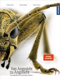 Cover: Von Angesicht zu Angesicht - Kosmos