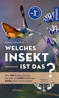 Enlarge image Cover: Welches Insekt ist das? - Kosmos