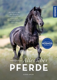 Abbildung von: Alles über Pferde - Kosmos