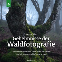 Abbildung von: Geheimnisse der Waldfotografie - dpunkt