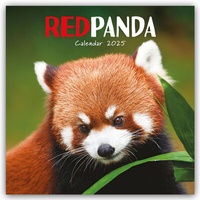 Enlarge image Cover: Red Panda - Rote Pandas - Rote Pandabären 2025 - Wand-Kalender - Brown Trout-Auslieferer Flechsig