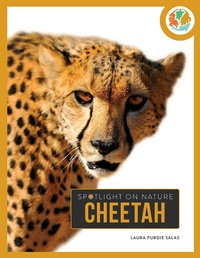 Enlarge image Cover: Cheetah - Creative Paperbacks