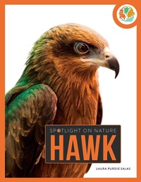 Enlarge image Cover: Hawk - Creative Paperbacks