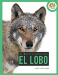Cover: Lobo - Creative Paperbacks