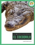 Cover: Cocodrilo - Creative Paperbacks